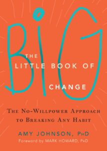 The Little Book of Big Changes - Amy Johnson